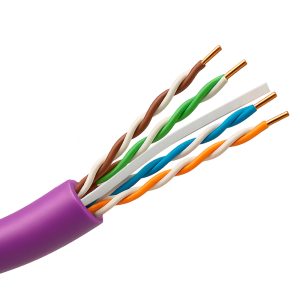 utp6 305 bc h dca purple.png
